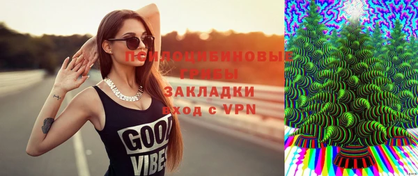 соль ск Саяногорск